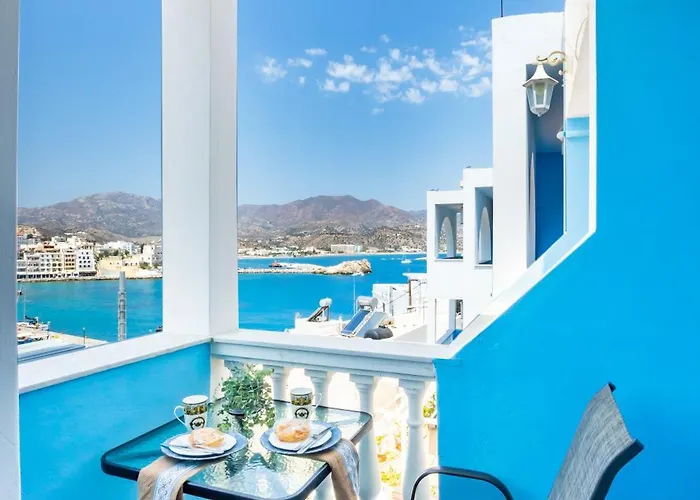 Gorgona Traditional 3